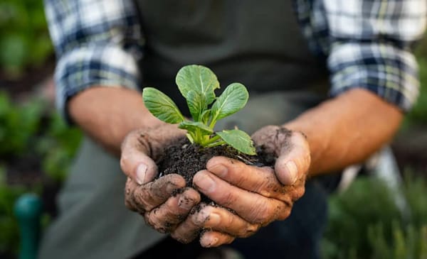 Минсельхоз разработал национальный стандарт органического производства изображение публикации