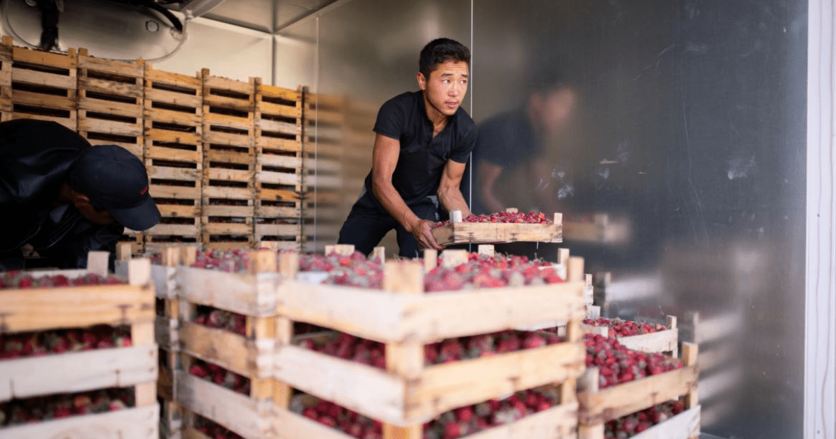 Марипов: Первоочередная задача максимально улучшить условия ведения бизнеса изображение публикации