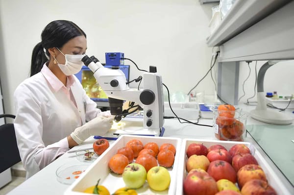 Минсельхоз намерен развивать сертификацию международного уровня изображение публикации