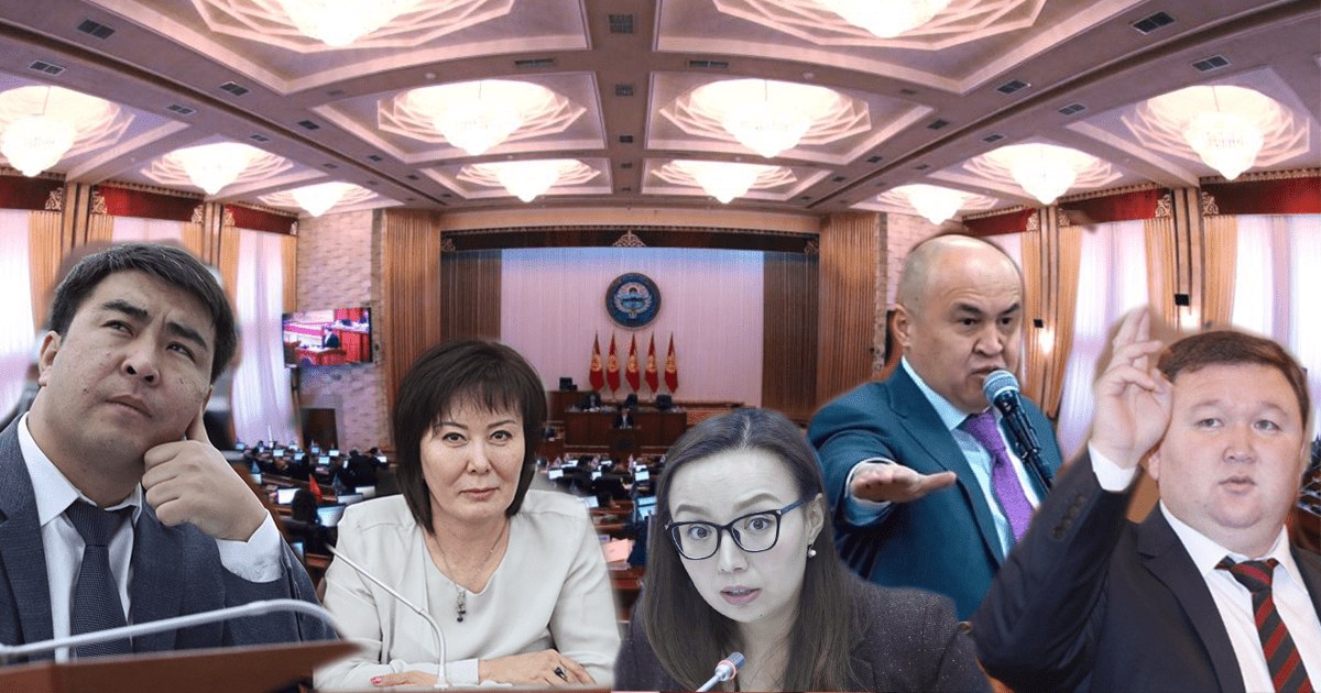 Депутаты-торгаши и строители. Какой бизнес больше всего любят парламентарии? изображение публикации