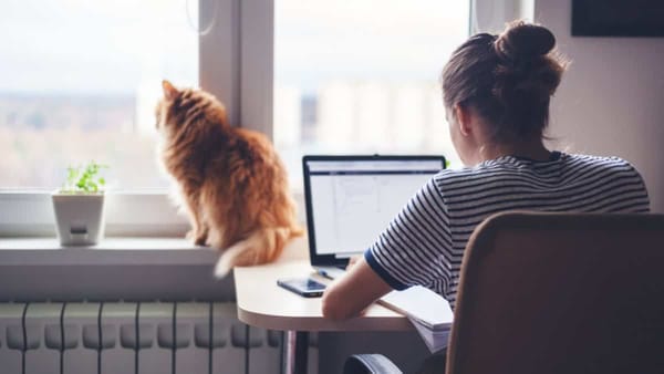 Шел второй год пандемии — в Кыргызстане задумались о регулировании труда удаленных работников изображение публикации