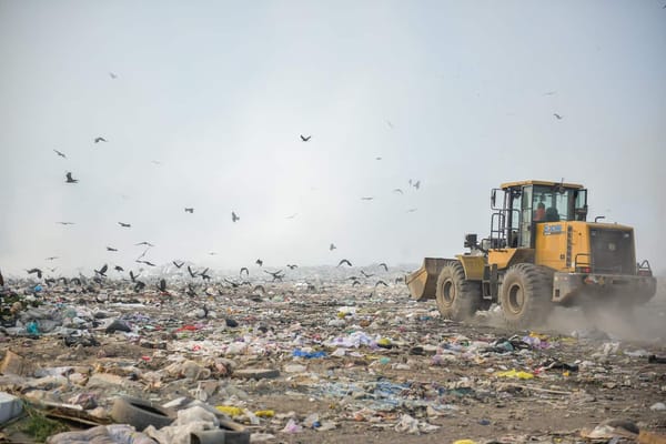 В Бишкеке построят мусороперерабатывающий завод — за все заплатит турецкая компания изображение публикации