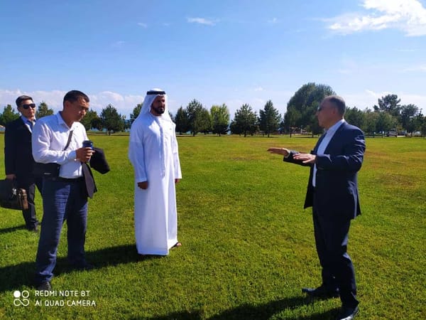 Компания из ОАЭ заинтересована в строительстве солнечных электростанций в КР изображение публикации