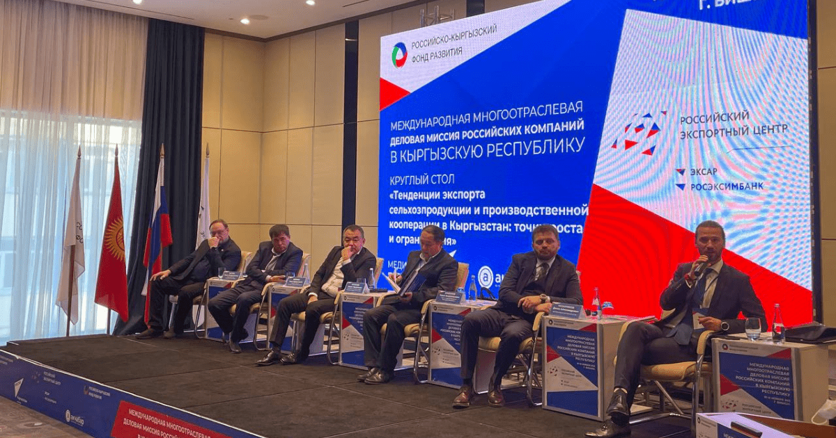 Экспорт товаров из Кыргызстана в Россию вырос до 20% за пять лет изображение публикации