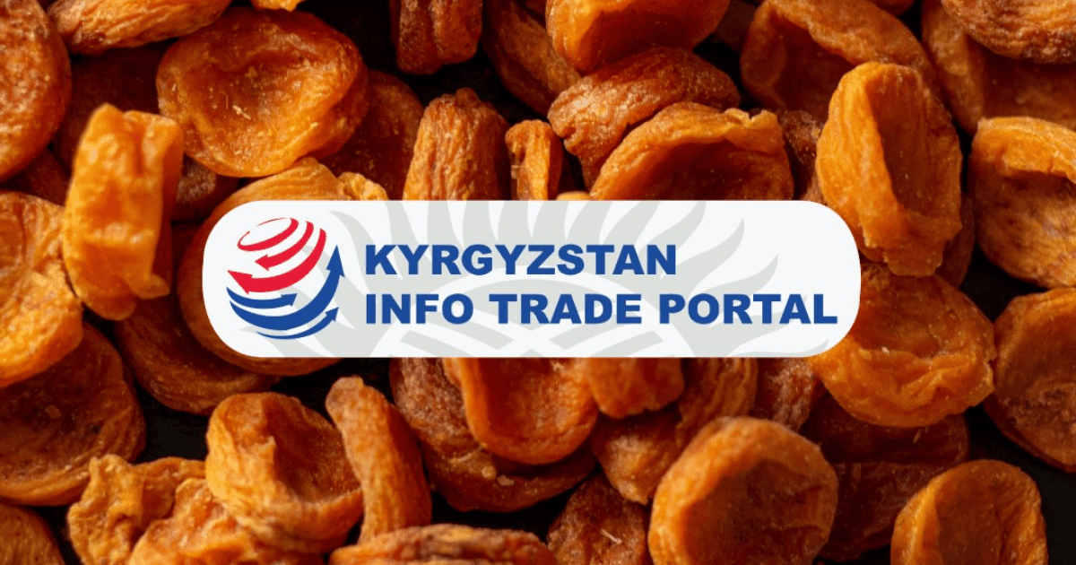 Электронные госуслуги будут доступны предпринимателям на «Информационном торговом портале» – Администрация президента изображение публикации