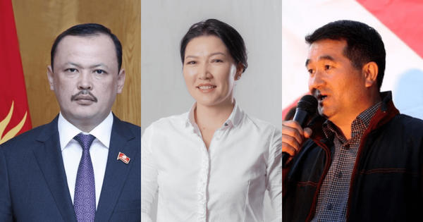 Парламент избрал трех вице-спикеров — среди них бывшая главбух «АУБ» изображение публикации