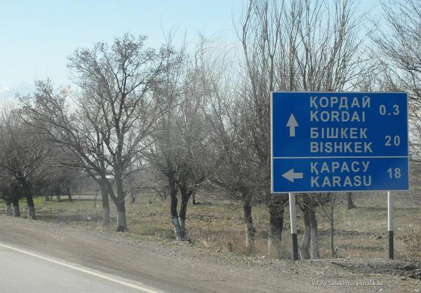 В Бишкек из Алматы везут 150 кыргызстанцев — генконсул изображение публикации