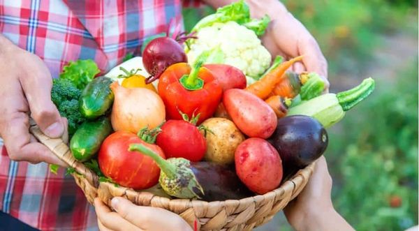 Отечественных производителей хотят защитить от обременительных контрактов с торговыми сетями изображение публикации