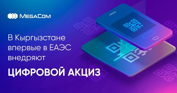 В Кыргызстане впервые в ЕАЭС внедряют цифровой акциз изображение публикации