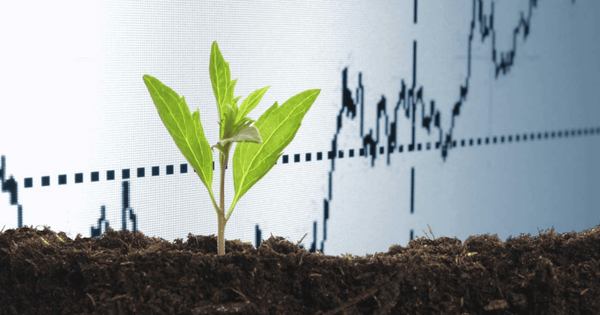 В Кыргызстане увеличились посевы по сравнению с прошлым годом изображение публикации