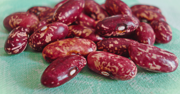 Торговля между КР и Арменией в этом году оживилась за счет экспорта фасоли изображение публикации