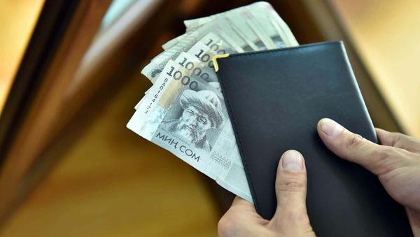 Ставки страховых взносов для малого и среднего бизнеса снижены до 2027 года изображение публикации