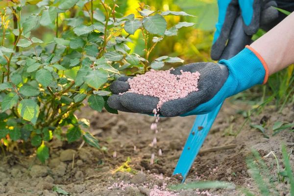 Кыргызстан заплатил Узбекистану $8.7 млн за 20 тысяч тонн удобрений, но получил только пять изображение публикации