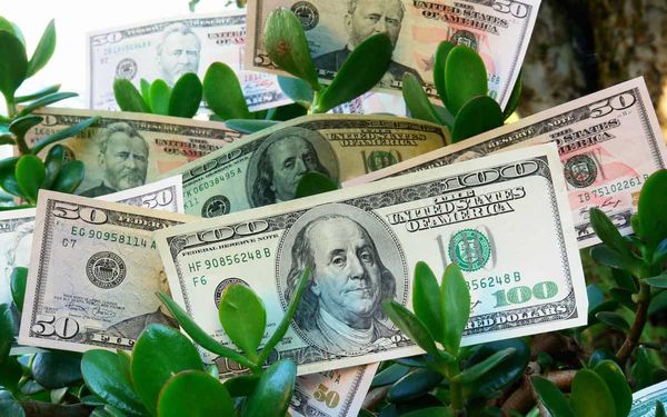 ЕБРР в прошлом году инвестировал в КР $35 млн. Почти 68% инвестиций — «зеленые» изображение публикации