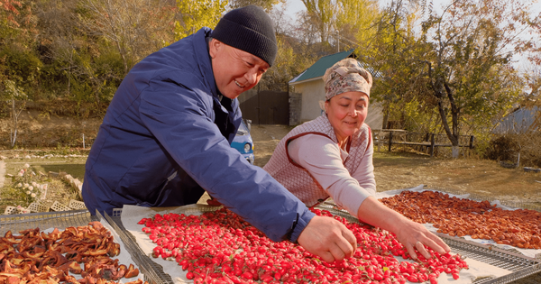 Из мигрантки в предпринимательницы: Как одна технология улучшила жизнь целого села изображение публикации