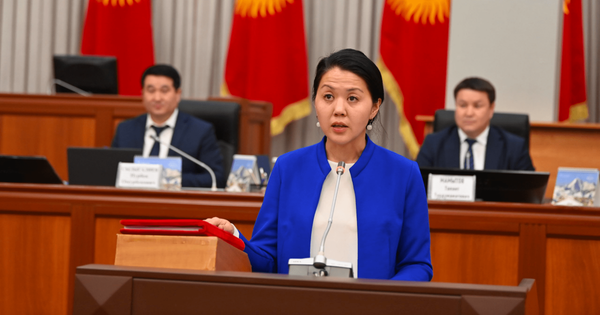 Омбудсмен призвала представителя ЕС по правам человека осудить таджикскую агрессию изображение публикации