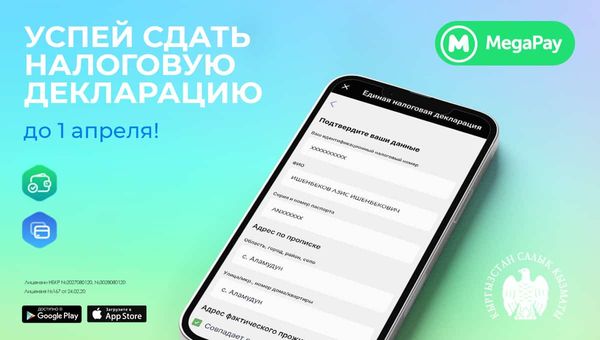 Заполни и сдай налоговую декларацию онлайн до 1 апреля в приложении MegaPay изображение публикации