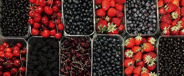 В Иссык-Кульской области будут выводить новые сорта ягод — размер инвестиций 38 млн сомов изображение публикации