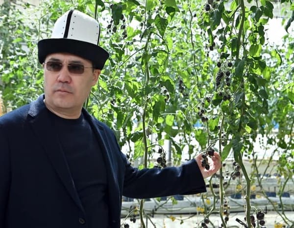 Садыр Жапаров посетил «умную» ферму, которая намерена привлечь более $10 млн инвестиций из Кореи изображение публикации