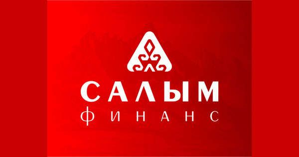 Микрофинансовая компания «Салым Финанс» заработала почти 140 млн сомов в прошлом году изображение публикации