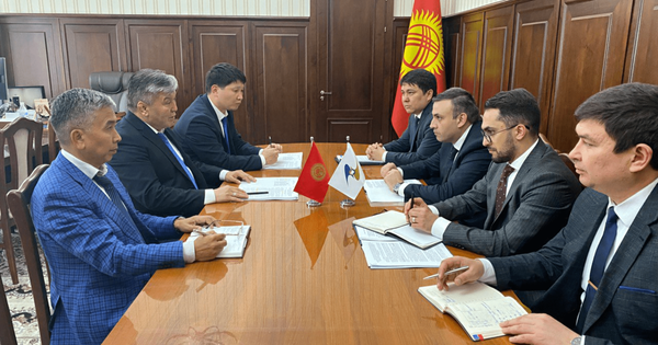 Оперативно устранять торговые барьеры в ЕАЭС призвал делегацию ЕЭК первый вице-премьер КР изображение публикации