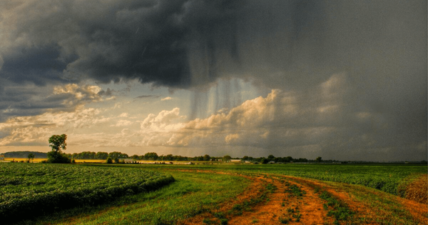 Минсельхоз показал фермерам оборудование для сбора дождевой воды изображение публикации