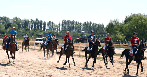 Акылбек Жапаров обсудил организацию в Кыргызстане скачек международного уровня изображение публикации