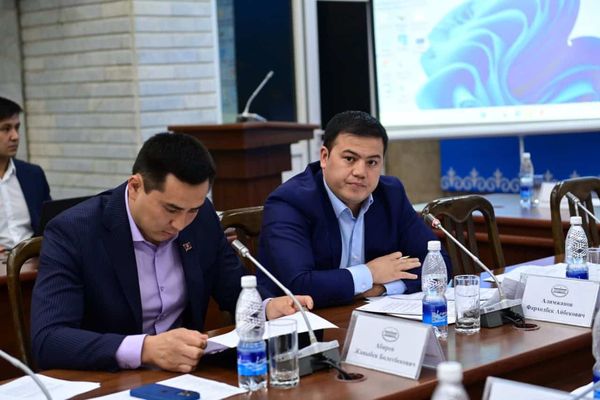 Комитет ЖК одобрил законопроект кабмина о легализации и амнистии активов изображение публикации