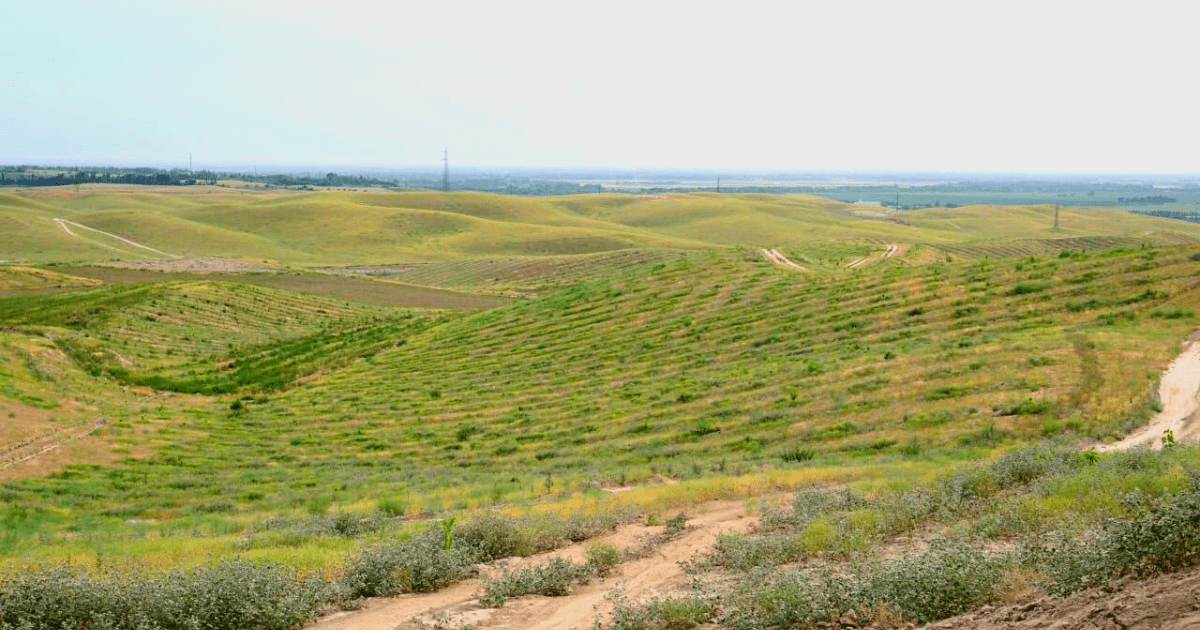 На засушливой земле в Джалал-Абадской области смогли создать черешневый сад площадью в 315 га изображение публикации