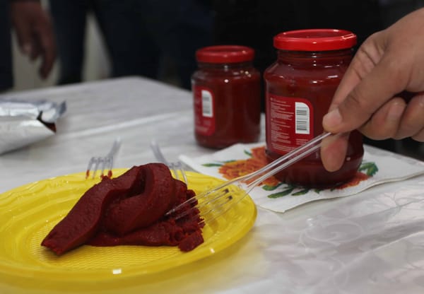 Как в Кыргызстане выращивают помидоры по итальянским технологиям для известного российского бренда. История «Томат КейДжи» изображение публикации