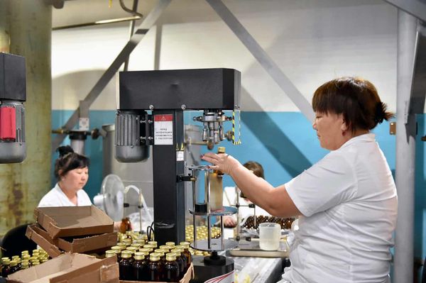 Задолжавший государству 20 млн сомов «Кара-Балтинский спиртовый завод» получил новый бюджетный кредит изображение публикации