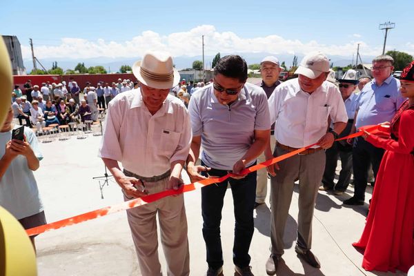 В Балыкчы запустили новый мукомольный завод изображение публикации