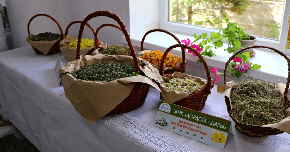 В Ат-Башы открыли мини-цех по производству эфирных масел и сушеных трав изображение публикации