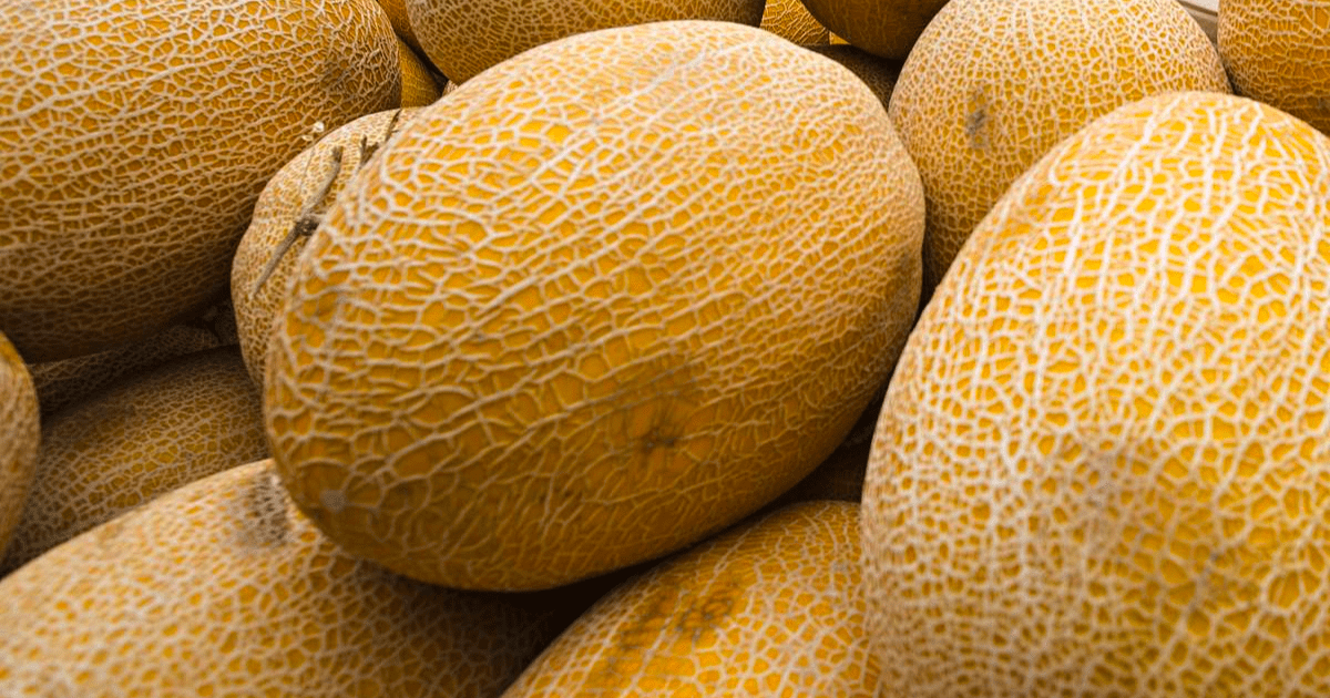 Кыргызстанец попался на контрабанде дыни на 30 тысяч сомов — теперь ему грозит конфискация машины изображение публикации