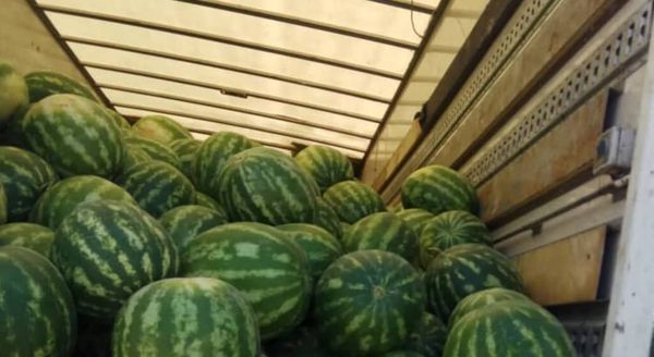 Борьба с контрабандой в КР: В Баткене конфисковали грузовик с арбузами изображение публикации