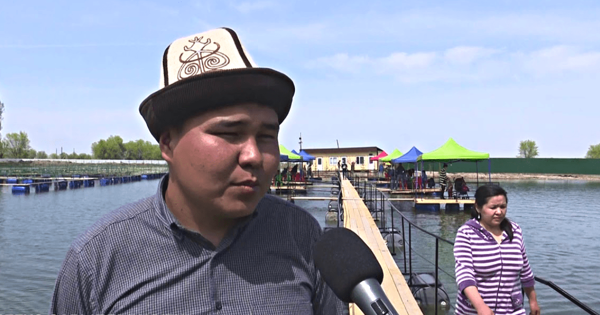 Владелец рыбного хозяйства «Тянь-Шань Форель» написал Ташиеву об угрозах со стороны главы Минсельхоза изображение публикации