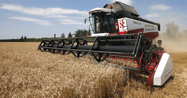 В Оше пройдет сельскохозяйственный бизнес-форум с участием импортеров из Узбекистана изображение публикации