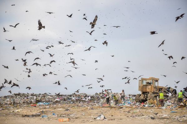 Мэрия Бишкека обещает приступить к строительству мусороперерабатывающего завода уже в сентябре изображение публикации