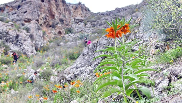Минфин перечислил Баткенской области 210 млн сомов изображение публикации