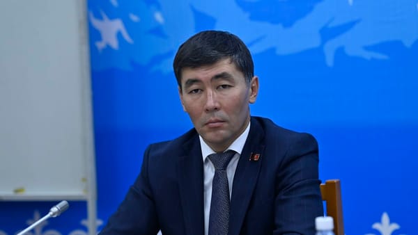 Супруга депутата Мурадила Сыдыкова в этом году выиграла тендеры на 26 млн сомов изображение публикации