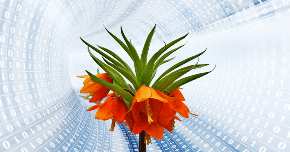 Парк высоких технологий выделит 1 млн сомов на лучшее цифровое решение для Баткена изображение публикации