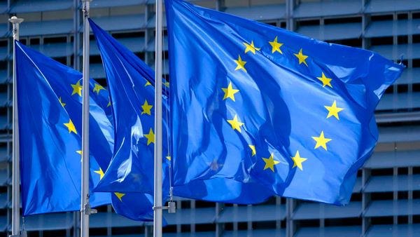 Представительство Евросоюза: Решение по Болоту Темирову противоречит международным обязательствам КР изображение публикации