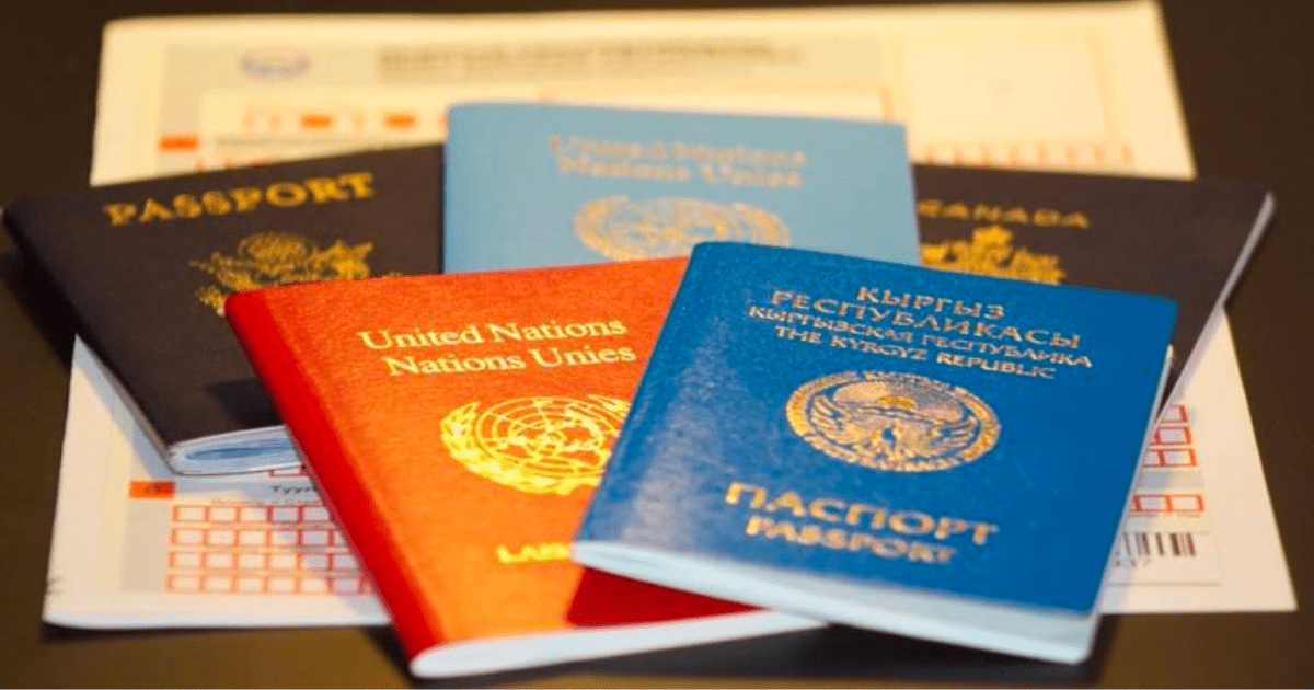 Кыргызстан упрощает выдачу вида на жительства за инвестиции свыше 10 млн сомов изображение публикации