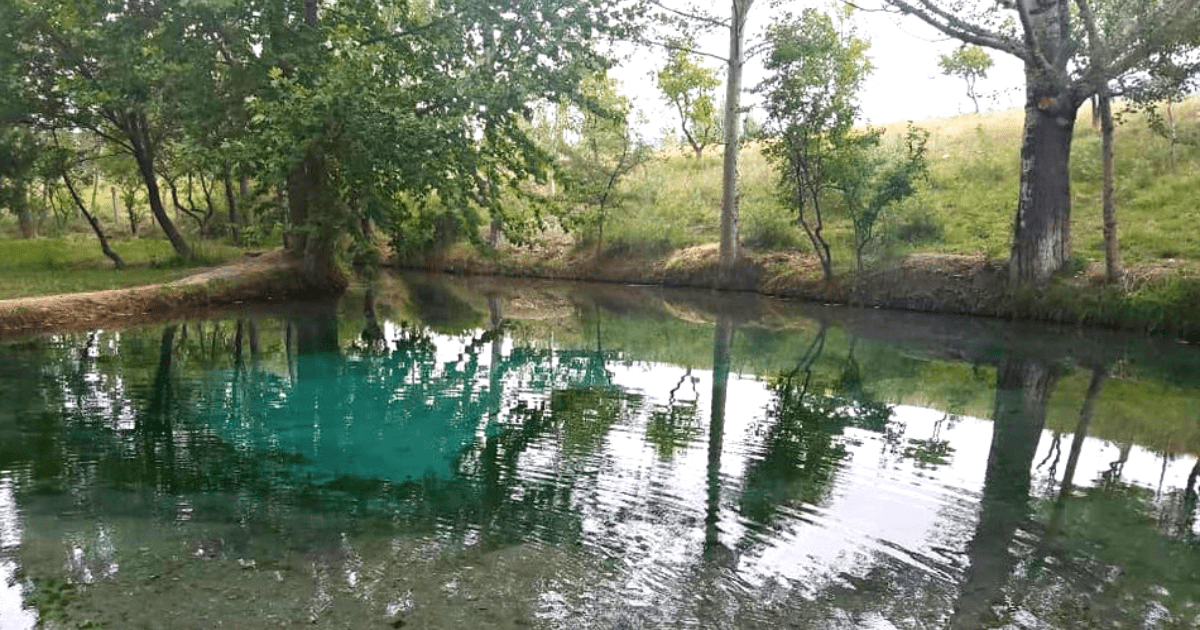 Местные жители вышли на митинг из-за слухов о передаче источника Чечме Узбекистану изображение публикации