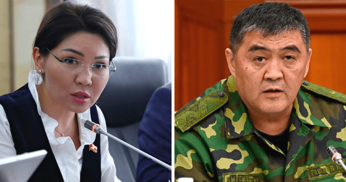 Депутат предложила провести зеркальные проверки ее семьи и семьи Ташиевых изображение публикации