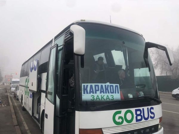 Автобусы Go Bus работают незаконно – другие перевозчики недовольны новым конкурентом изображение публикации