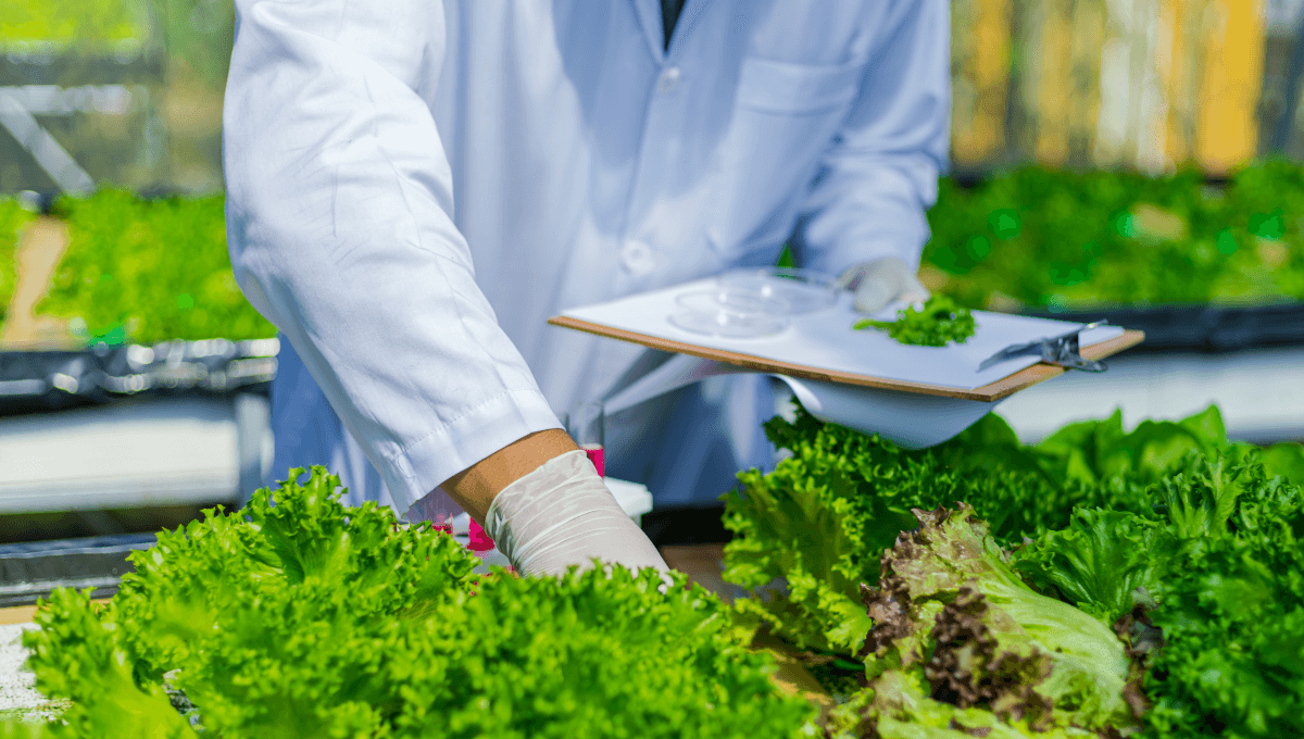 ООН будет обучать специалистов по пищевой безопасности в КР изображение публикации