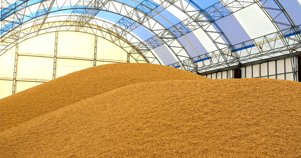 Депутаты одобрили усовершенствование выдачи складских свидетельств изображение публикации