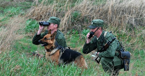 Два здания в Бишкеке продадут российским пограничникам — стоимость объектов неизвестна изображение публикации