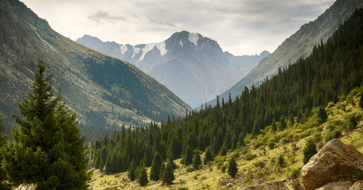 Минфин ответил Минприроды о выделенных на экологию средствах изображение публикации